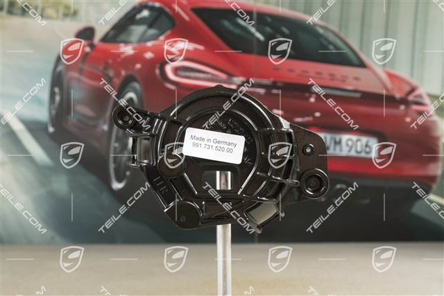 Platte, Aussenspiegel, Sport Design, R