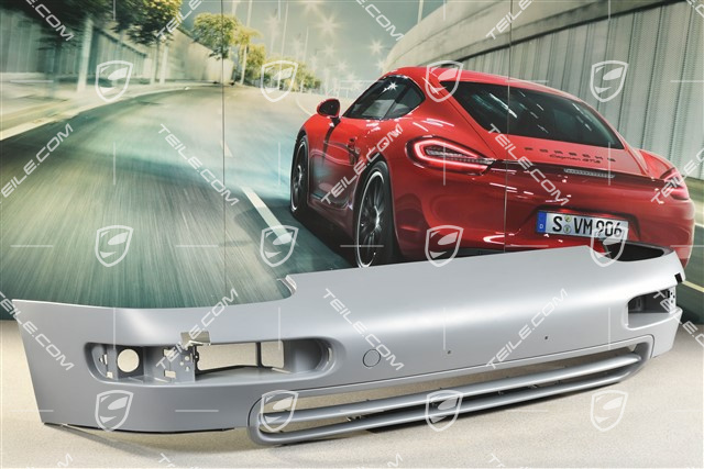 C2 / C4 / Targa / Carrera RS / GT2, Front bumper lining, Saudi Arabia