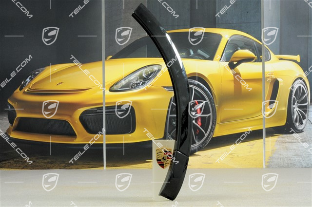 Wheel cover, door rear, R