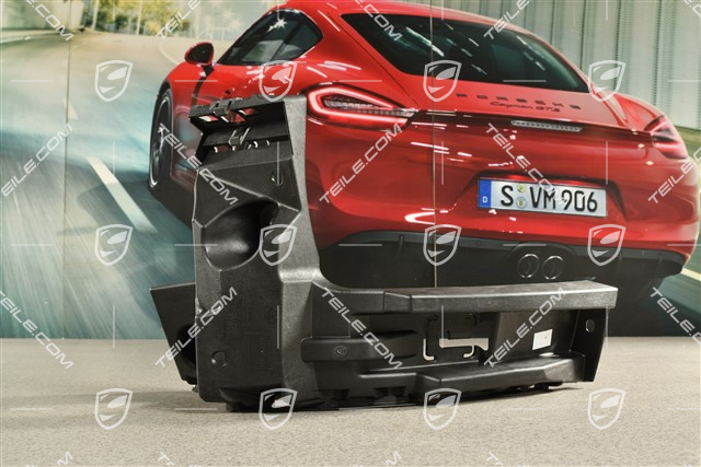 Rear bumper retaining strip, L