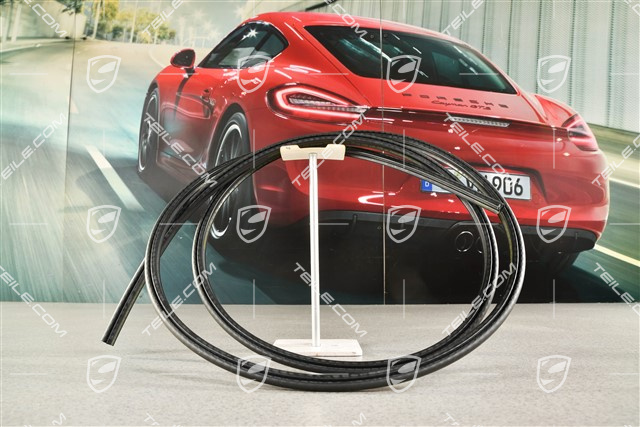 Dichtung für Schiebedach