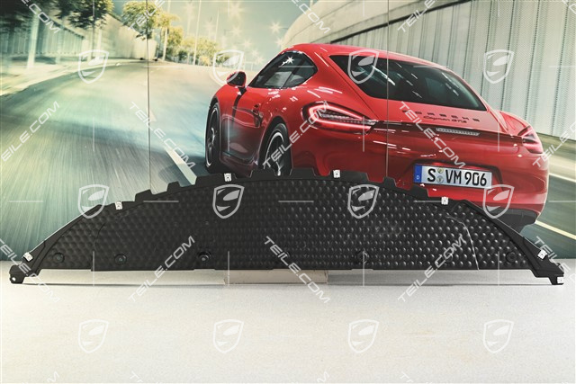 Spyder, Front bumper, Underbody trim