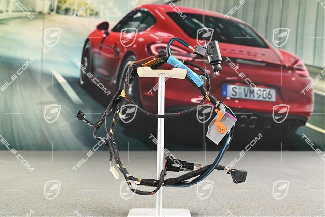 Kabelstrang, Türtafel, Fahrertür, L