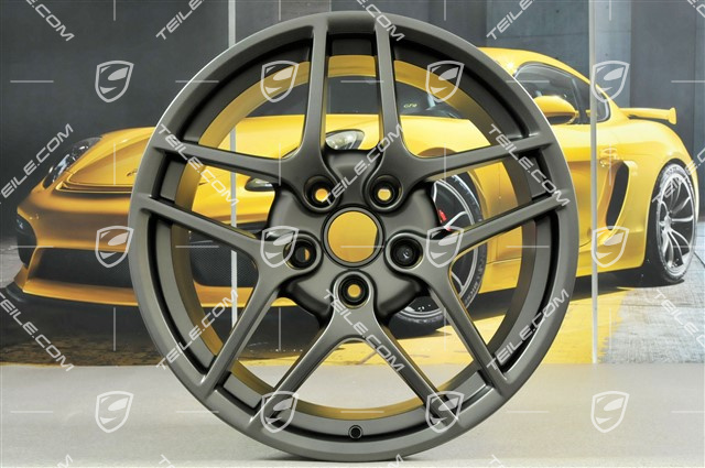 19" Felgensatz Carrera S II (Facelift), 8J x 19 ET57 + 11J x 19 ET67, Platin