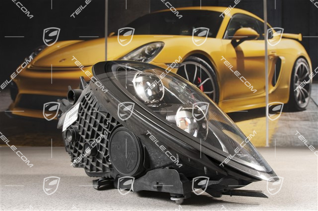 LED Scheinwerfer, schwarz, L