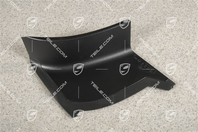 Rear light cover, outer, R
