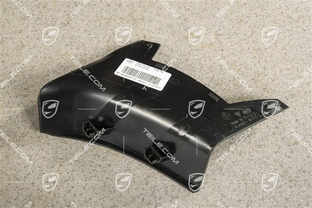 Rear light cover, outer, L