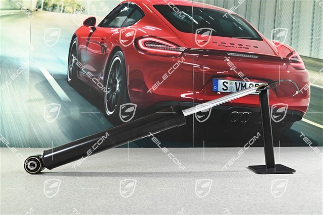 Schwingungsdämpfer, HA, L=R