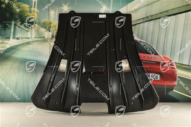 GT3, Diffuser / Underbody cover, Engine Under Tray