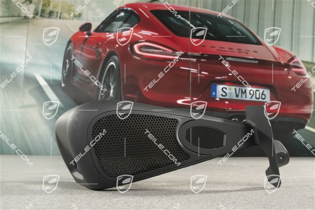 Obudowa pasa tylnego, Lakierowana czarna, Targa, L