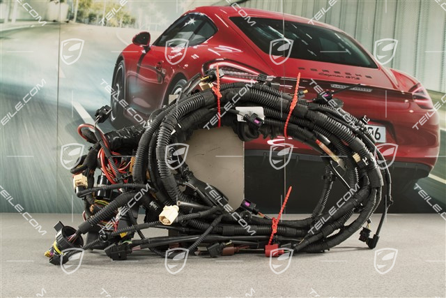 3,0L S, Kabelstrang, Motor