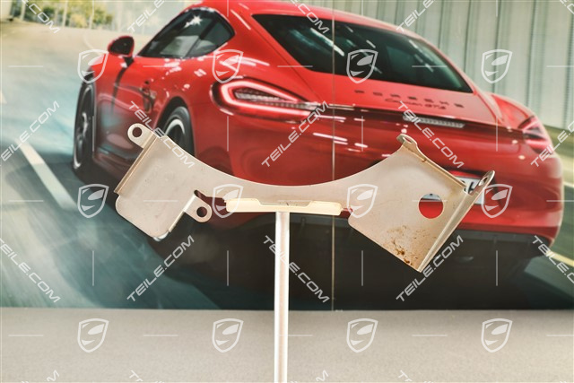 GT3RS, disc brake protective plate, lower, L