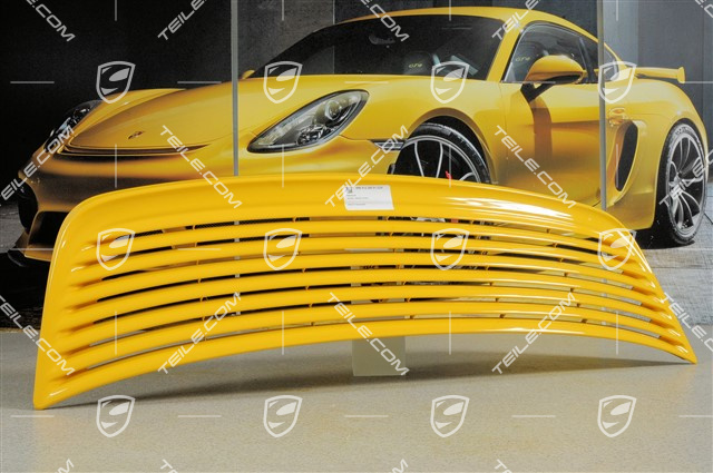 Spoiler, upper part (grille) Spoiler, upper part (grille)