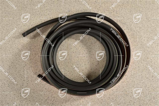 Uszczelka dachu panoramicznego