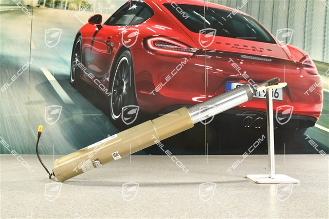 GT2 RS / GT3 RS, Stossdämpfer / Schwingungsdämpfer, VA, PASM, Liftfunktion, L=R