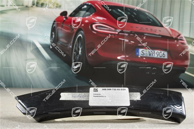 Wide Wheel Arch, rear, lacquered, R