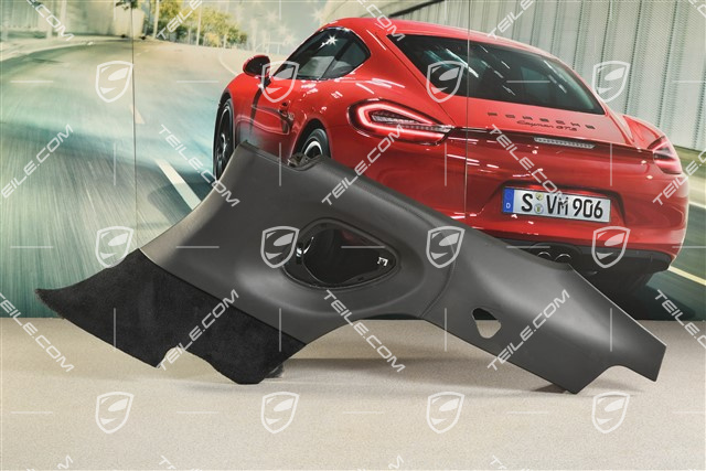 Seitenwandverkleidung, Leder, schwarz/grau, coupe, R