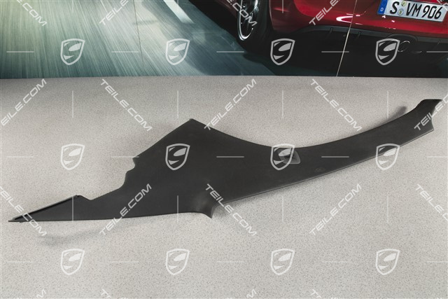 Hardtop lining, leatherette, black, R