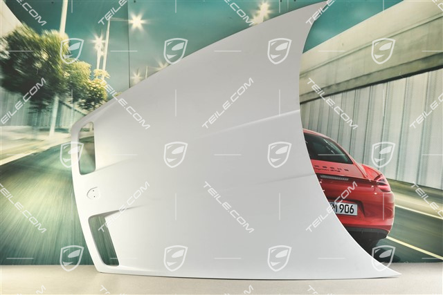 GT3 / Dakar / S/T Lid front, Carbon