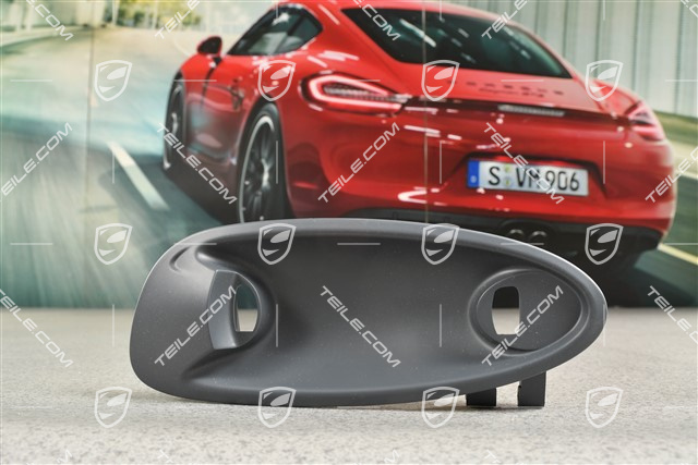 Obudowa / podstawa klamki drzwi, RHD, L