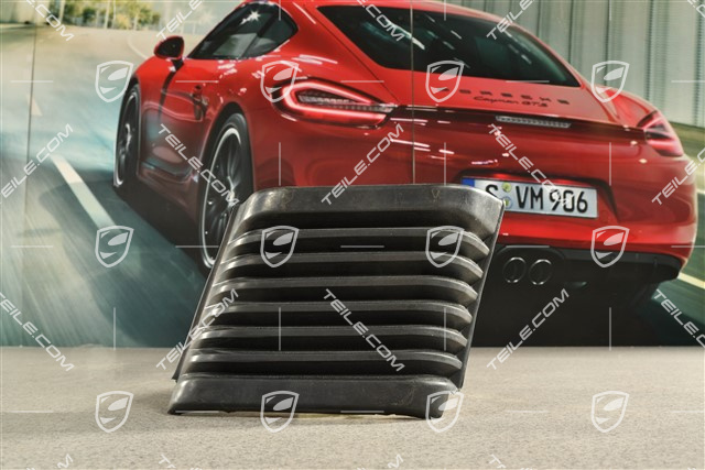 Bumper bellows, R