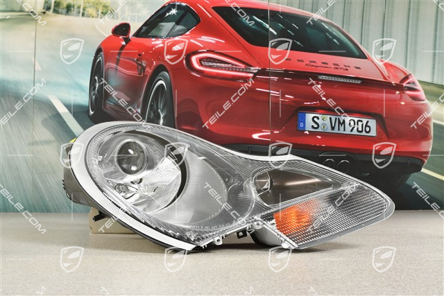 Litronic Scheinwerfer, weiß, inkl. Steuergerät und Xenonbirne, RHD, R