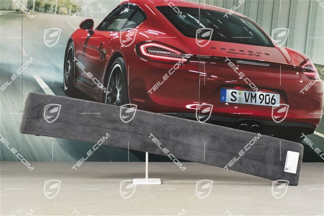 Verkleidung, Rückwand, Coupe, Teppich, Seeblau