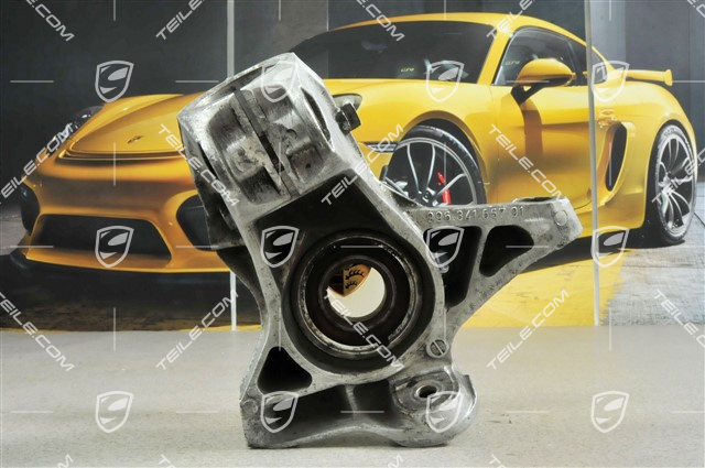 Wheel carrier, GT3 / GT2, L