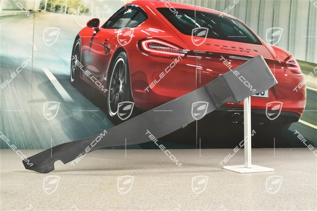 Targa, Scharnierabdeckung, Verdeckkastendeckel, R