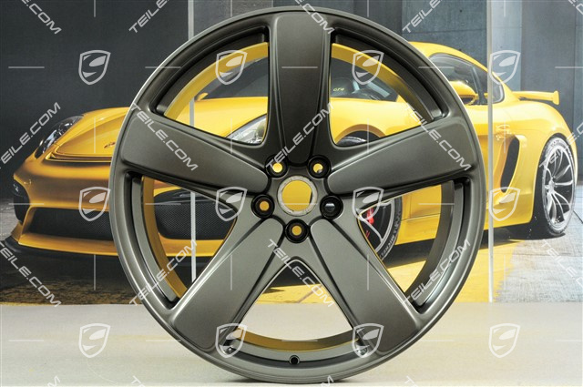 21" Felga "Sport Classic", 10J x 21 ET19, platinum satynowy półmat