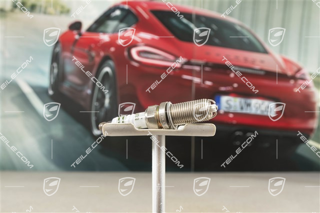 4,8L S/ GTS Spark plug FGR 5NQEO