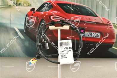 Kabelstrang, Airbag sensor, Fanfare Hochton, R