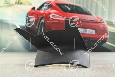Rear light cover, outer, L