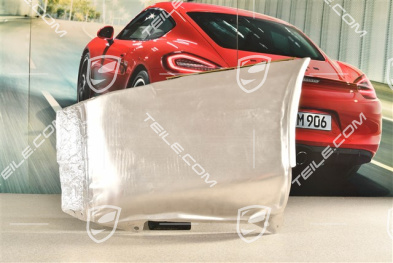 Heat shield, Turbo/4S/S2, R