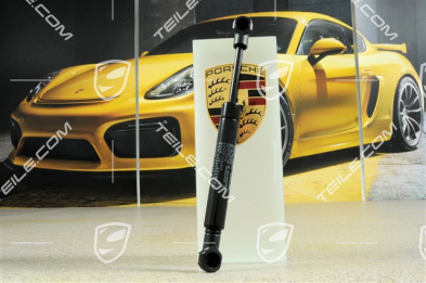 Gasdruckfeder / Dämpfer für Heckscheibe Gasdruckfeder / Dämpfer für Heckscheibe
