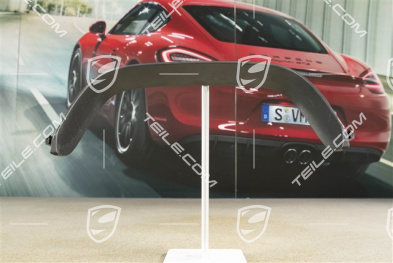 Tail pipe cover trim, Black matte