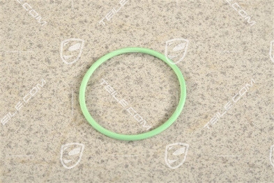 O-Ring, Unterdruckpumpe