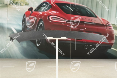 Front bumper disc / trim, Satin black, upper, R