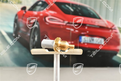 Sensor / Temperaturfühler