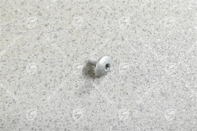 Pan / Oval-head screw M6 x 14 Pan / Oval-head screw M6 x 14