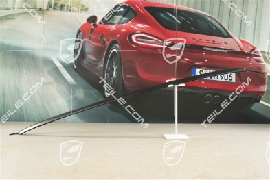 Trim, Upper, Windscreen