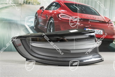 Rear / tail light, dark, L