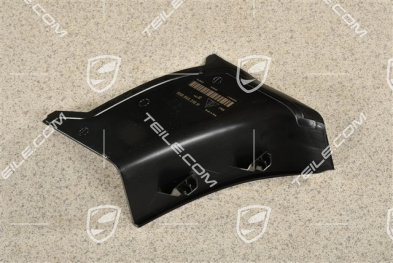 Rear light cover, outer, R