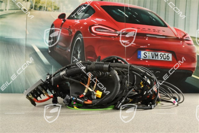 Kabelbaum im Motorraum, Hybrid, R