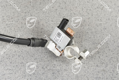 Masskabel / Massleitung, Baterie, inkl. Sensor