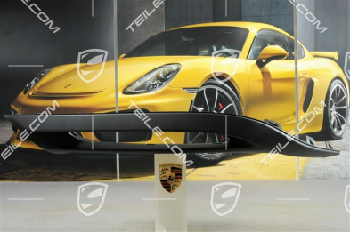 Lining rear, lower, without PDC, R
