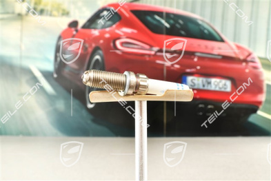 Spark Plug, Spyder RS