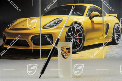 Bonnet / Hood lift / damper / support GAS-FILLED STRUT Bonnet / Hood lift / damper / support GAS-FILLED STRUT