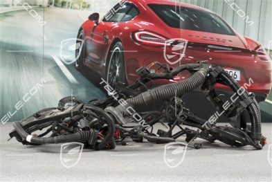 Engine wiring harness, 4.5L 330kW V8 Biturbo