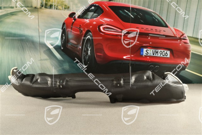 GT3 RS, Hitzeschutz Stossfängerträger hinten